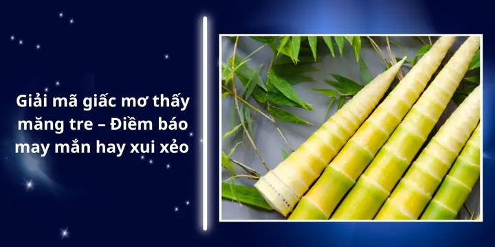 Giải Mã Giấc Mơ Thấy Măng Tre – Điềm Báo May Mắn Hay Xui Xẻo