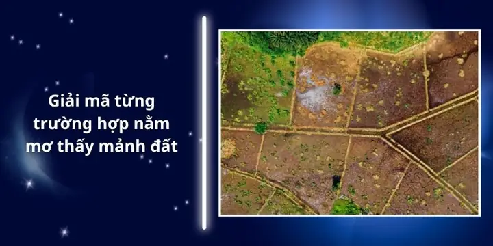 Mơ Thấy Mảnh Đất Là Điềm Tốt Hay Xấu?