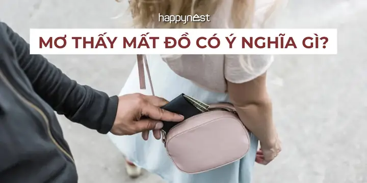 Giải Mã Giấc Mơ Thấy Mất Đồ: Điềm Báo Lành Hay Dữ Và Những Con ...