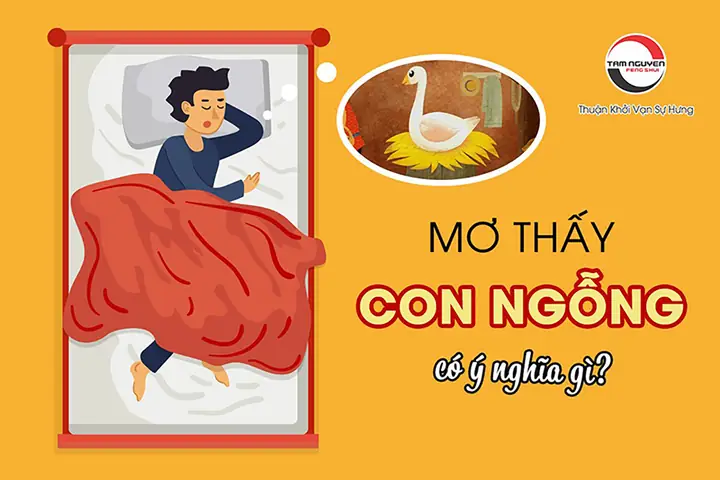 Mơ Thấy Con Ngỗng Có Ý Nghĩa Gì?