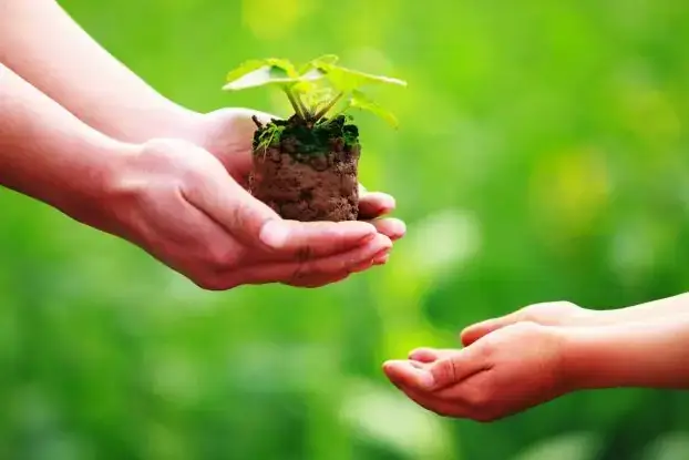 Lời Khuyên Tâm Linh & Hóa Giải & Kết Nối ‘nhân Hòa’