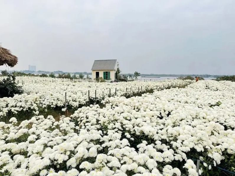 Bãi đá sông Hồng là địa điểm vui chơi Hà Nội với thiên nhiên yên bình