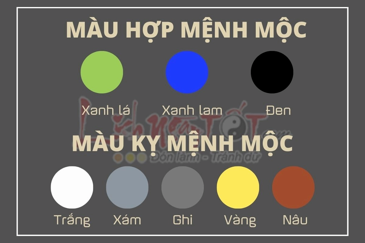 Mệnh Mộc có hợp màu đỏ không? Giải đáp chi tiết 2026 Bảng màu phong thủy
