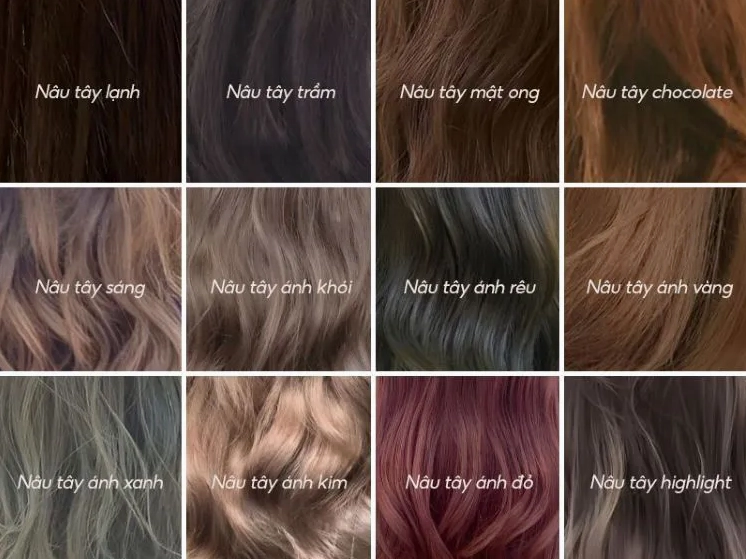 Bảng màu tóc nhuộm nâu tây