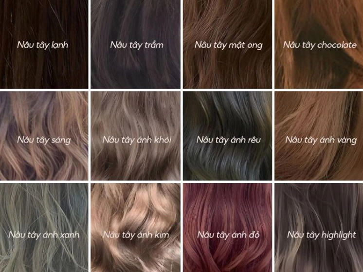 Bảng màu tóc nhuộm nâu tây