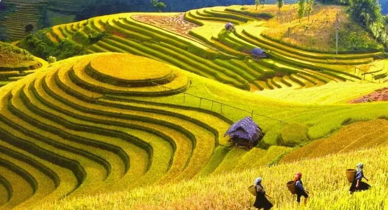 Du Lịch Điện Biên 2026: Khám Phá Vẻ Đẹp Lịch Sử & Thiên Nhiên Hùng Vĩ Các địa điểm du lịch Điện Biên không thể bỏ lỡ
