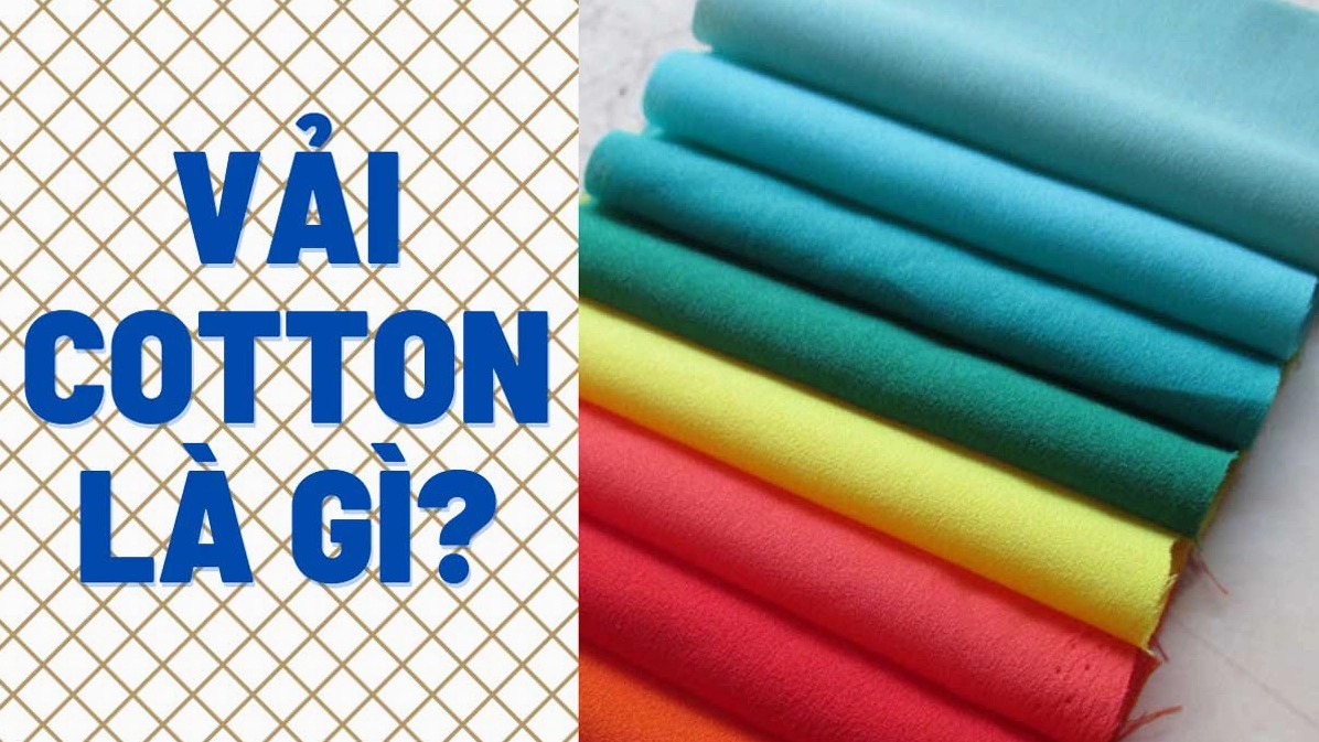 Cotton Là Vải Gì? Khám Phá Chi Tiết Từ A-Z Chuẩn 2026 Các loại vải cotton khác nhau