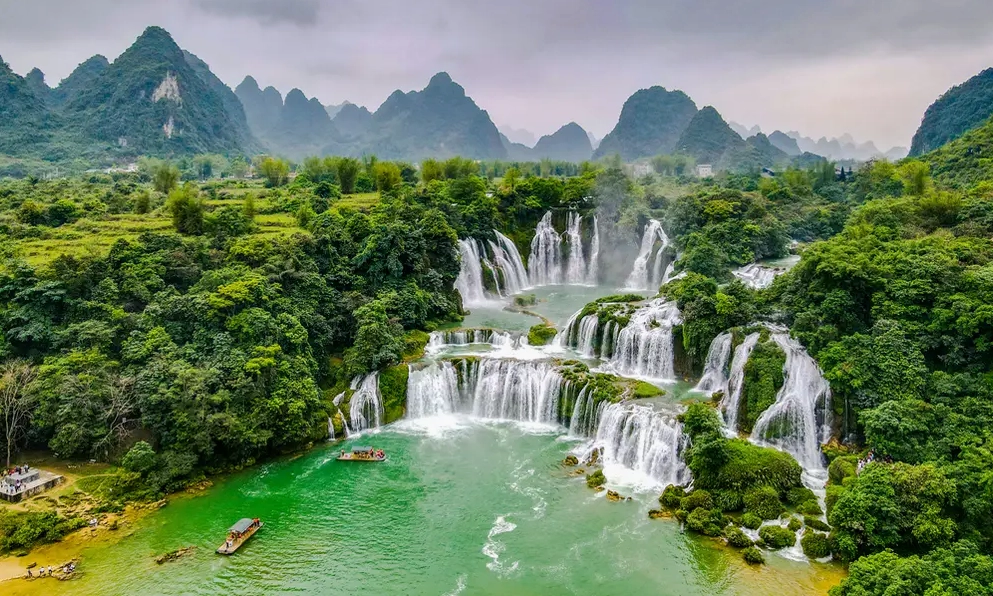 Cánh đồng hoa tam giác mạch ở Hà Giang