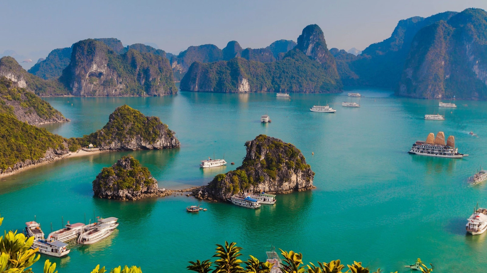 Cánh đồng lúa chín vàng ở Đồng bằng sông Cửu Long