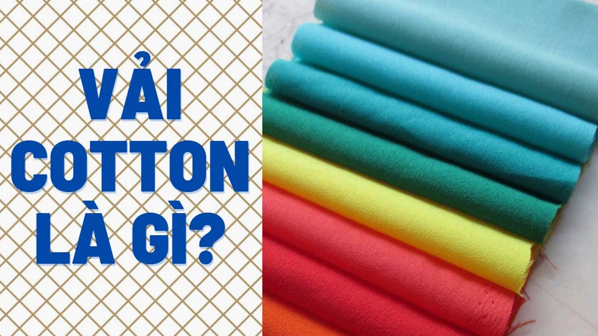 Vải Cotton là gì? Khám phá ưu nhược điểm và ứng dụng chi tiết Cây bông và quả bông