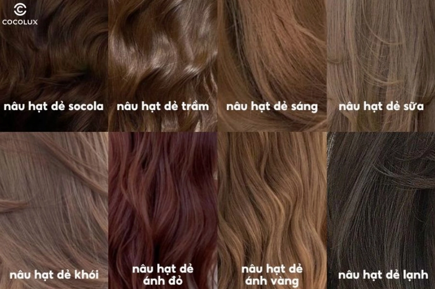 Cô gái với mái tóc màu nâu hạt dẻ lạnh đầy cuốn hút