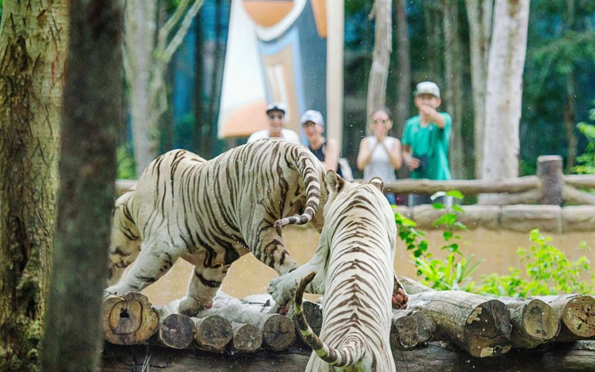Du khách tham quan khu Safari Phú Quốc