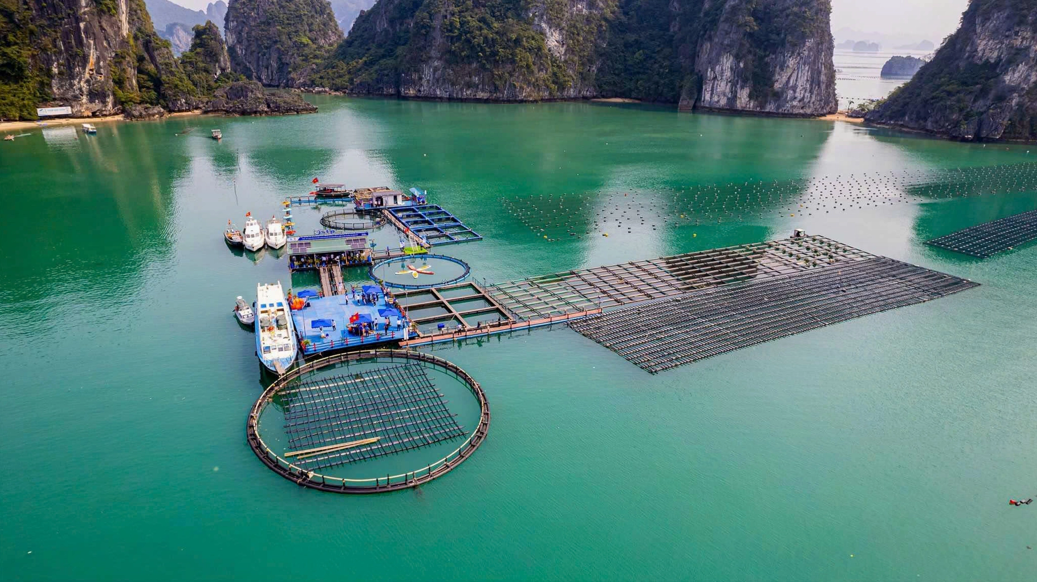 Quảng Ninh cách Hà Nội bao nhiêu km? Hướng dẫn di chuyển nhanh và tiện 2026 Du lịch Quảng Ninh 2026