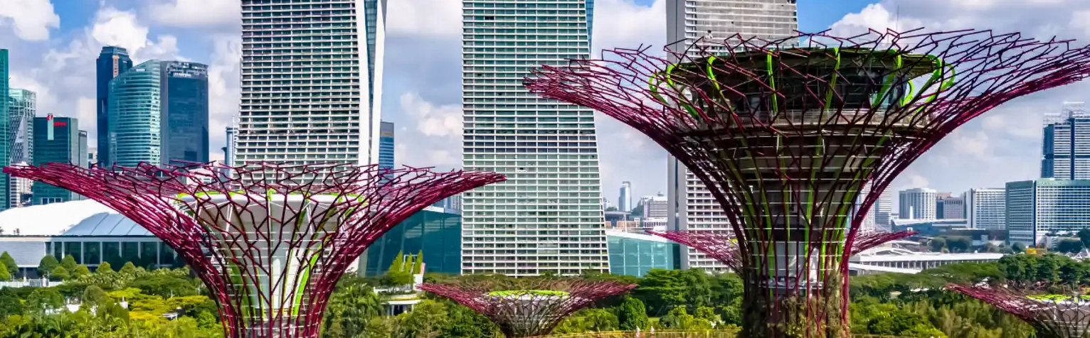 Du Lịch Singapore Tự Túc 2026: Trải Nghiệm Khám Phá Đảo Quốc Sư Tử Từ A-Z