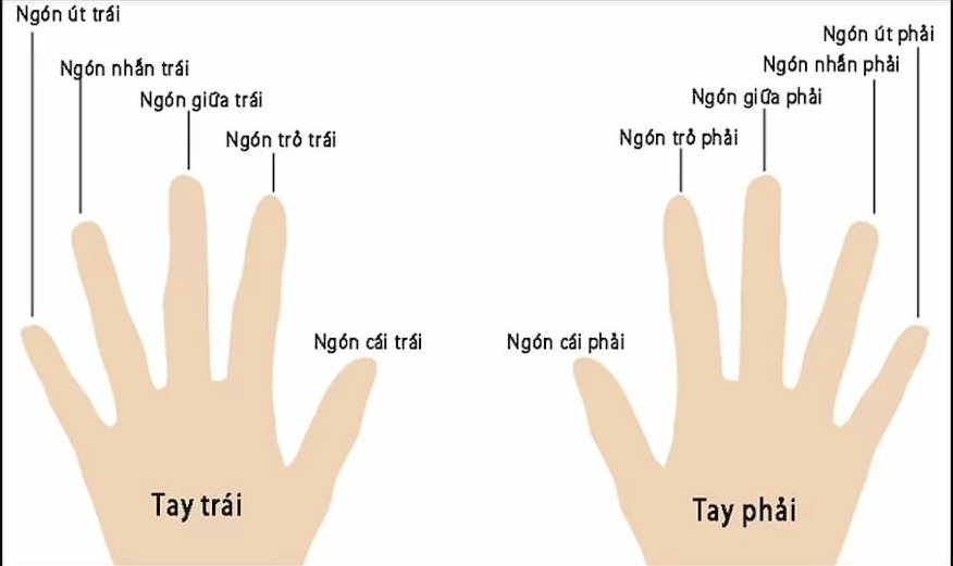 Đeo nhẫn ngón tay thể hiện ý nghĩa riêng