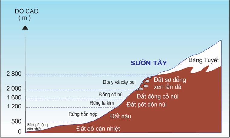 Góc chiếu của Mặt Trời thay đổi theo vĩ độ
