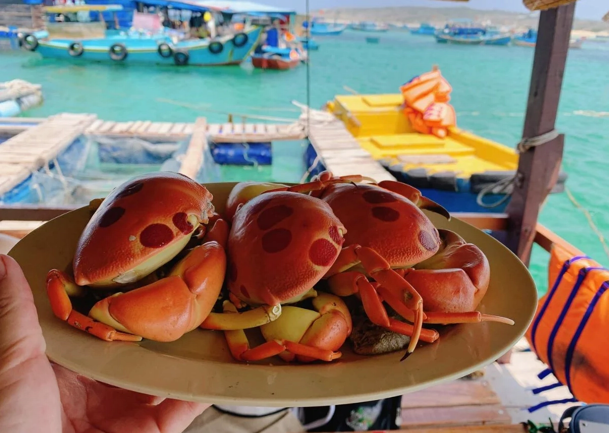 Hải sản tươi ngon là đặc sản không thể bỏ qua khi đến Phú Quý