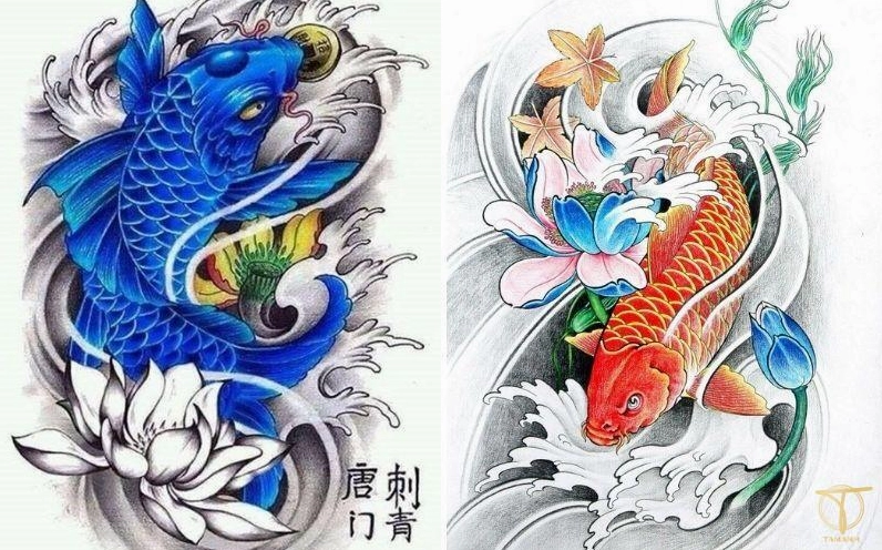 Hình xăm cá chép đẹp tinh tế