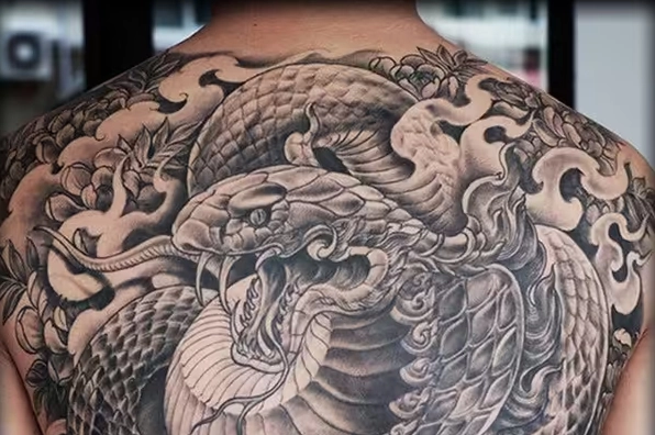 Hình xăm rắn cuộn đẹp mắt
