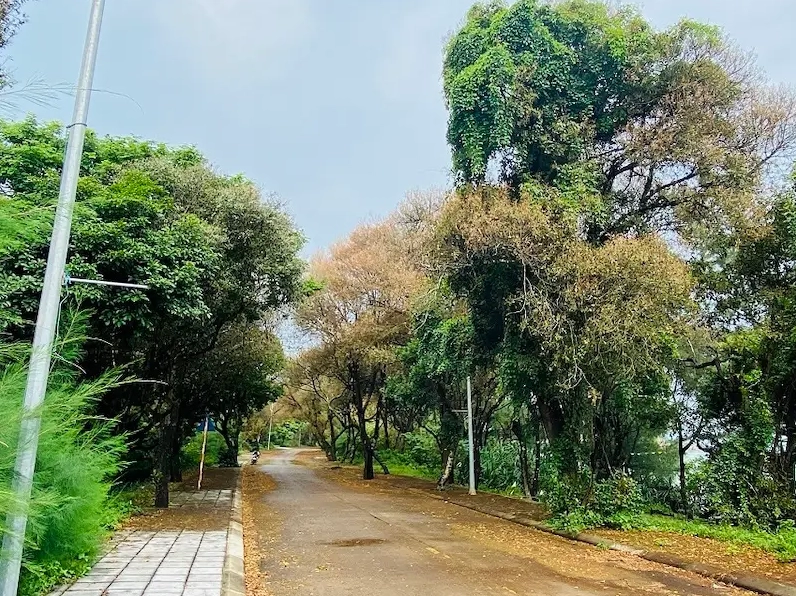 Cẩm Nang Du Lịch 2026: Khám Phá Vẻ Đẹp Hoang Sơ của Đảo Cô Tô Hoàng hôn lãng mạn trên đảo Cô Tô