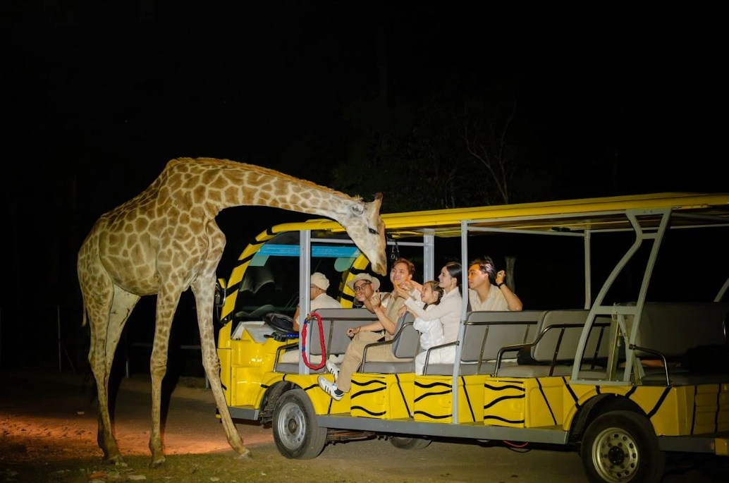 Khám phá Night Safari Phú Quốc và tiếp cận các loài động vật hiền lành