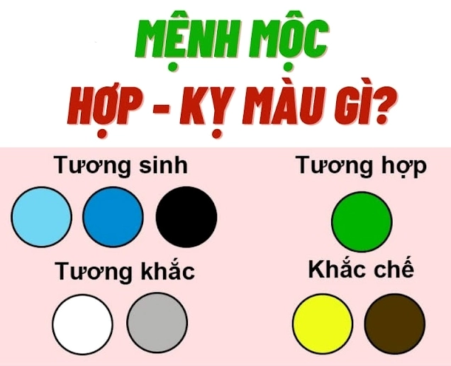 Mệnh Mộc có hợp màu đỏ không? Giải đáp chi tiết 2026 Màu sắc trong phong thủy