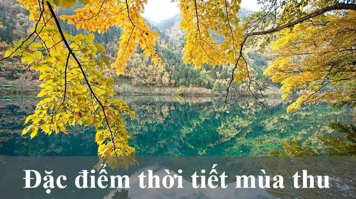 Mùa Thu Bắt Đầu Từ Tháng Mấy? Giải Mã Chu Kỳ Lãng Mạn Của Đất Trời 2026!