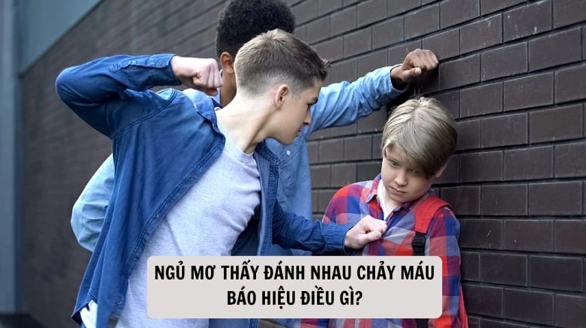 Nằm mơ thấy người khác đánh nhau chảy máu: Điềm báo hay chỉ là giấc mơ?