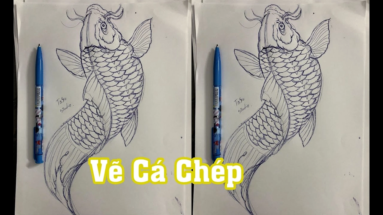 Nghệ thuật vẽ hình xăm cá chép chi tiết