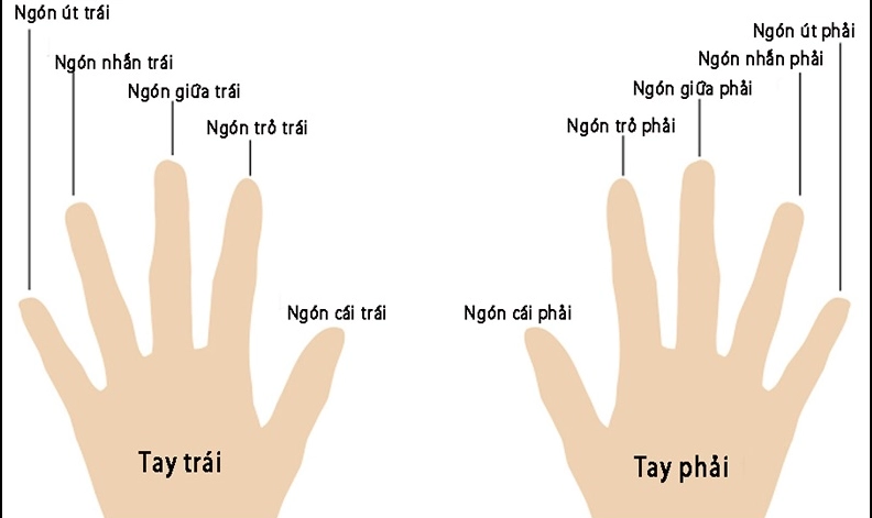 Nữ giới đeo nhẫn trên các ngón tay khác nhau