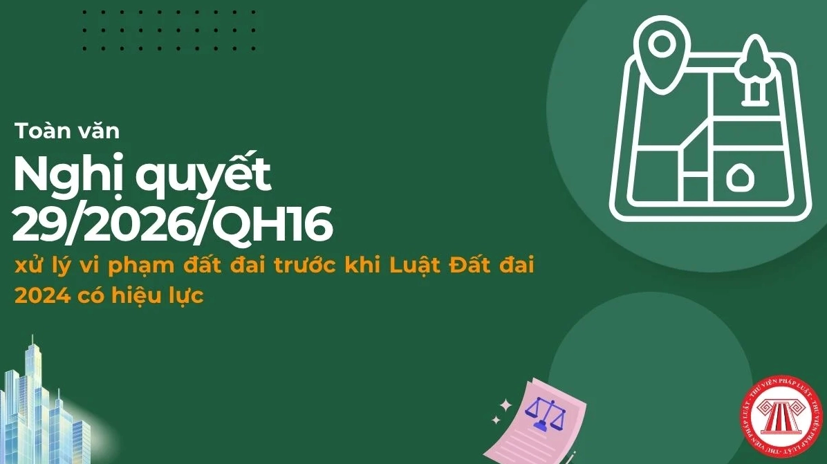 Quy định pháp luật