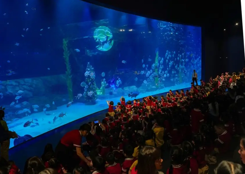 Thuỷ cung Lotte World là địa điểm vui chơi Hà Nội giúp bạn khám phá thế giới đại dương với hơn 400 loài sinh vật biển