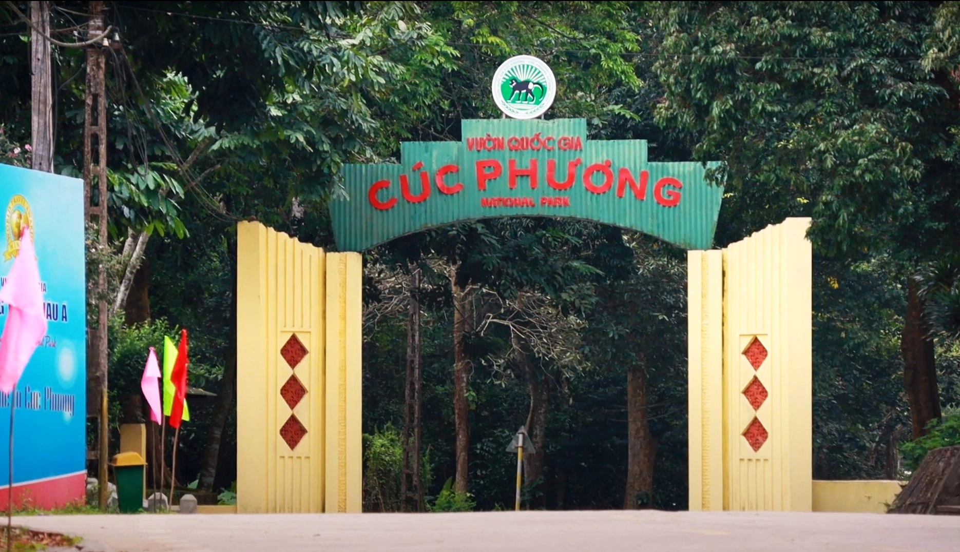 Vườn Quốc Gia Cúc Phương Ở Đâu? Cẩm Nang Khám Phá Rừng Nguyên Sinh 2026