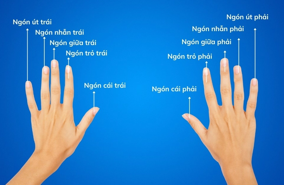 Ý Nghĩa Đeo Nhẫn Các Ngón Tay Nữ Phong Thủy 2026 Ý nghĩa đeo nhẫn ngón giữa nữ theo phong thủy
